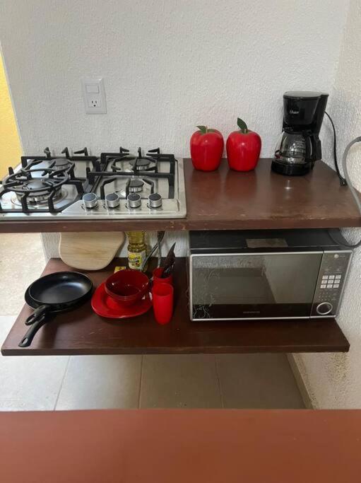 New Home Sol, Mar Y Arena Ixtapa. イスタパ エクステリア 写真