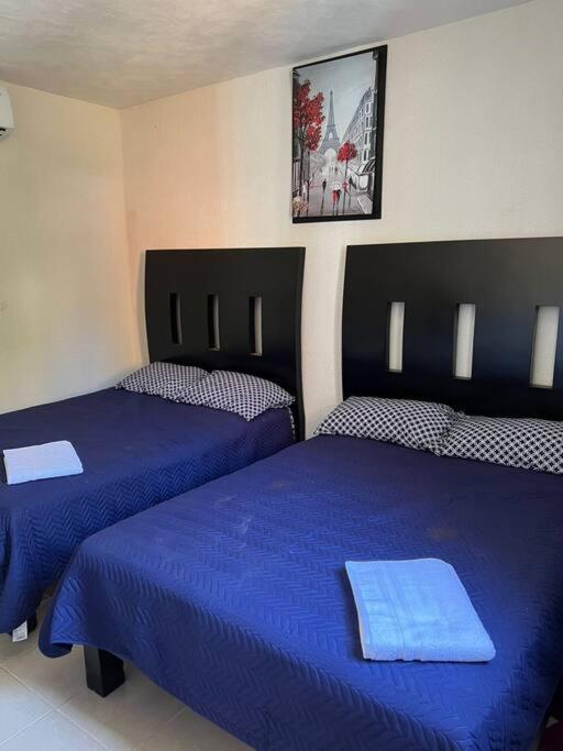 New Home Sol, Mar Y Arena Ixtapa. イスタパ エクステリア 写真
